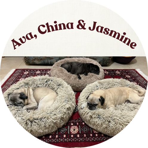 Ava, China & Jasmine