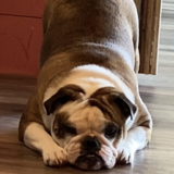 Entry image for Rain for Rainbow