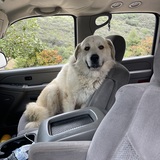 Entry image for Keba