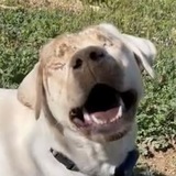 Entry image for Maggie Mae