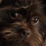 Entry image for MASTER HUBBARD THE 2ND