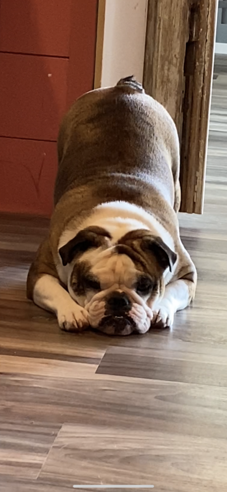 Entry image for Rain for Rainbow. Clicking this image will show a larger photo