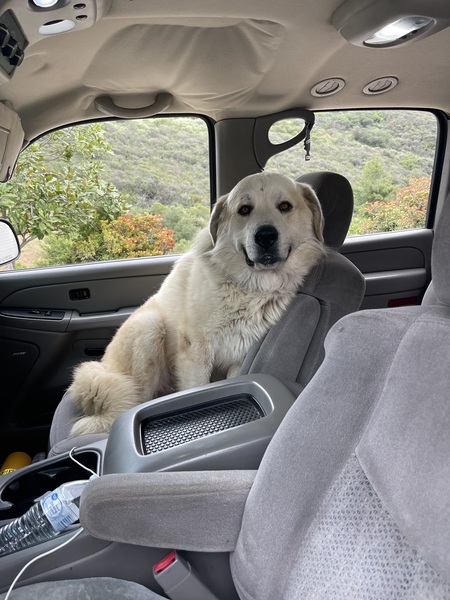 Entry image for Keba. Clicking this image will show a larger photo