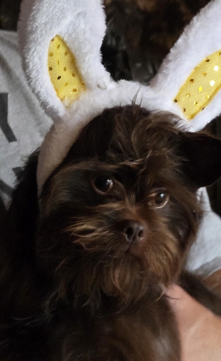 Entry image for MASTER HUBBARD THE 2ND. Clicking this image will show a larger photo