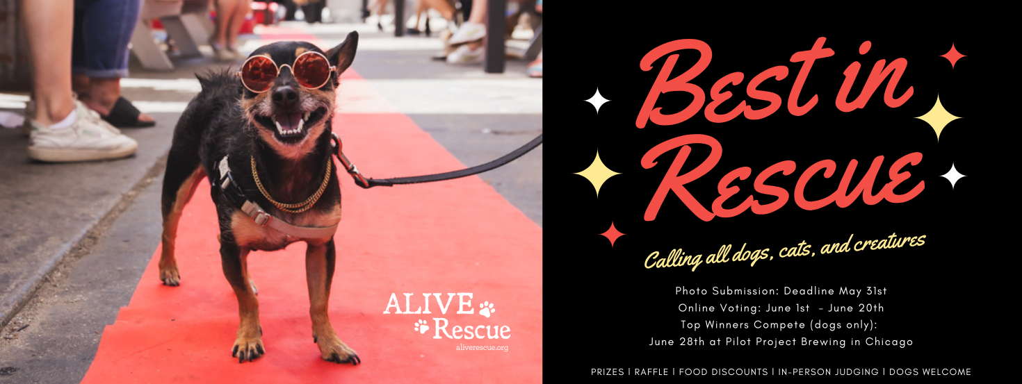 Banner for 6th Annual Best In Rescue