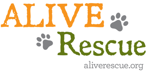 Logo for 6th Annual Best In Rescue