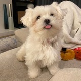Entry image for Winnie