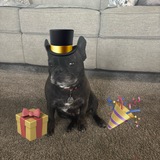 Entry image for Leo