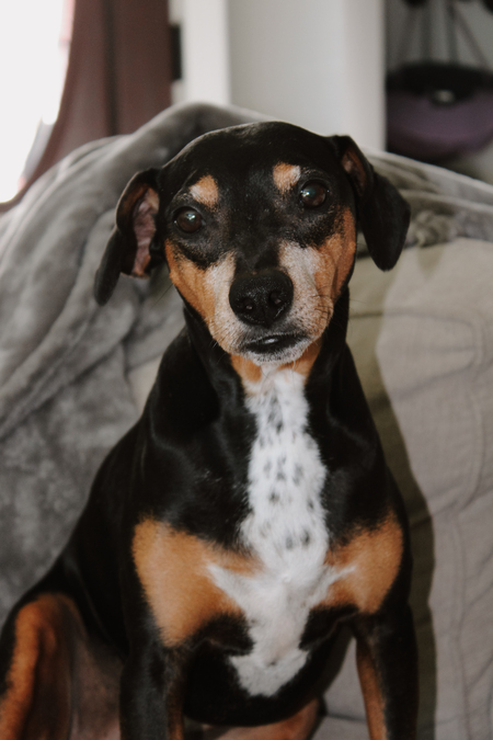 Entry image for Buehrle  . Clicking this image will show a larger photo