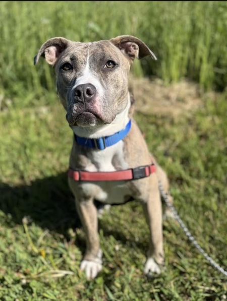 Entry image for Mabel. Clicking this image will show a larger photo