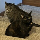 Entry image for Grayson & Shelby