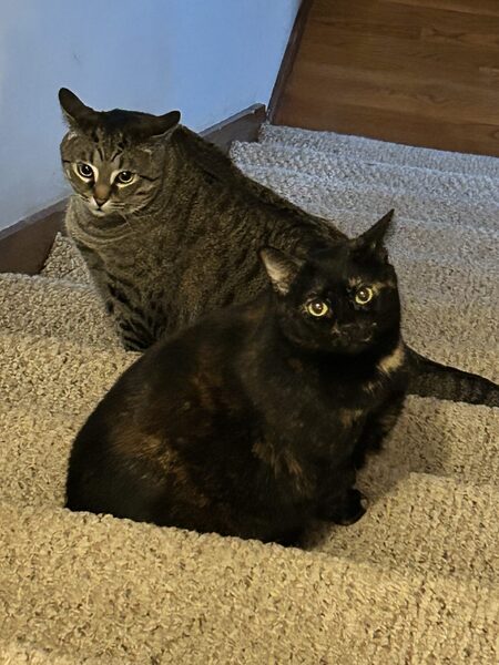 Entry image for Grayson & Shelby. Clicking this image will show a larger photo