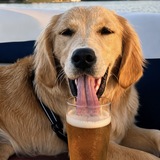 Entry image for Brie