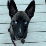 Entry image for Blue