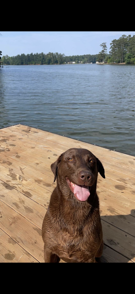 Entry image for Kooper. Clicking this image will show a larger photo