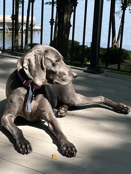 Entry image for Lula Girl. Clicking this image will show a larger photo
