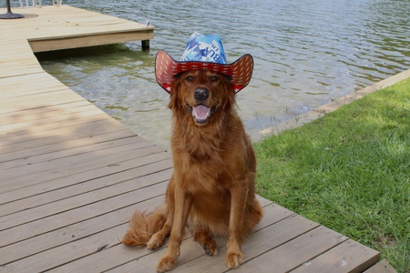 Entry image for Honey. Clicking this image will show a larger photo
