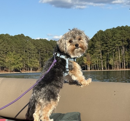 Entry image for Annie. Clicking this image will show a larger photo