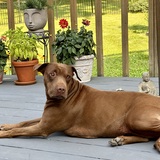 Entry image for Maggie