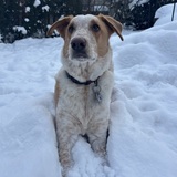 Entry image for Max