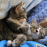 Entry image for Leo and Lilly