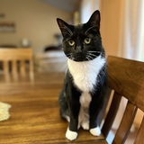 Entry image for Minnie
