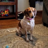 Entry image for Molly 