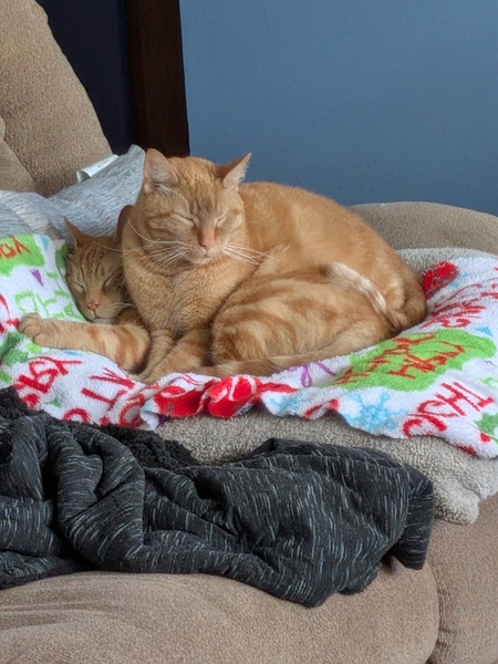 Entry image for Bunsen & Beaker. Clicking this image will show a larger photo