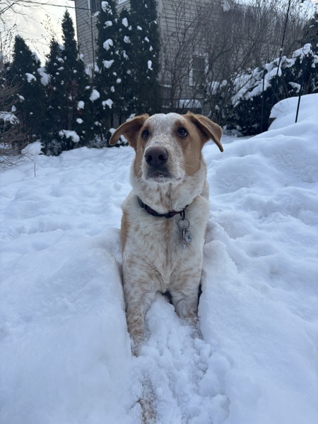 Entry image for Max. Clicking this image will show a larger photo