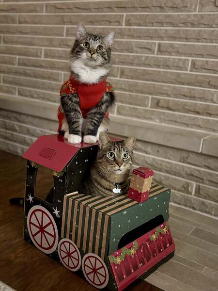Entry image for Bobby and Clyde. Clicking this image will show a larger photo