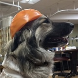 Entry image for Beatrice