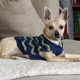 Entry image for Jane