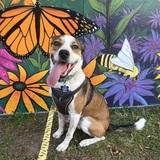 Entry image for Lincoln