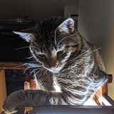 Entry image for Walter