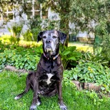 Entry image for Millie