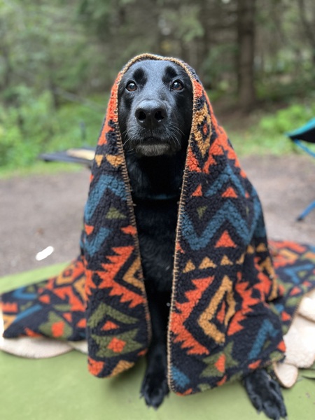 Entry image for Jake. Clicking this image will show a larger photo