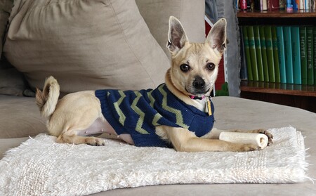 Entry image for Jane. Clicking this image will show a larger photo