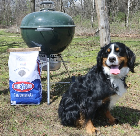 Entry image for Weber. Clicking this image will show a larger photo