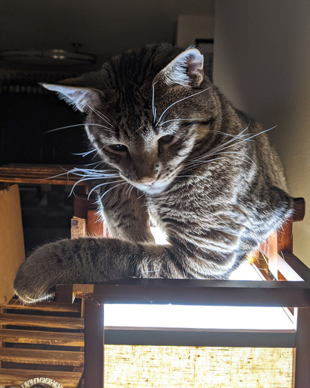 Entry image for Walter. Clicking this image will show a larger photo