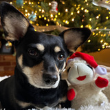 Entry image for Mabel