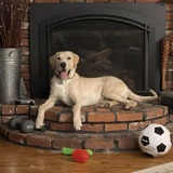 Entry image for Stabler 