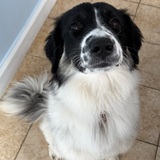 Entry image for Tilly