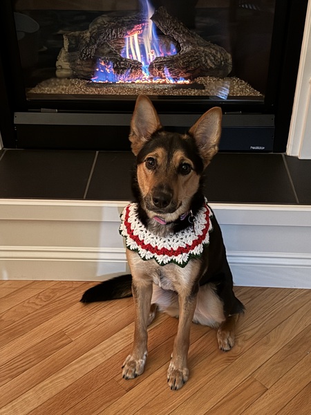 Entry image for Tink. Clicking this image will show a larger photo
