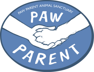 Logo for Paw Parent Calendar Photo Contest