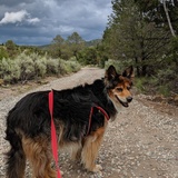 Entry image for Logan