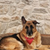Entry image for Toby