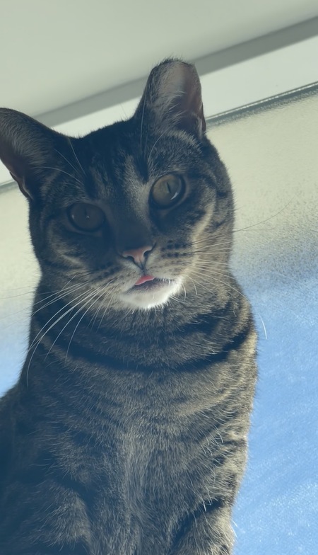 Entry image for Marcy. Clicking this image will show a larger photo