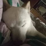 Entry image for Yuki