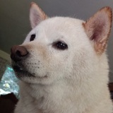 Entry image for Yuki