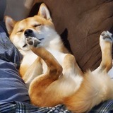 Entry image for Ollie